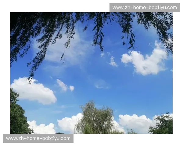 瓜达拉哈拉的骄阳与拉古纳海滩的微风：一场关于生活态度的热烈碰撞